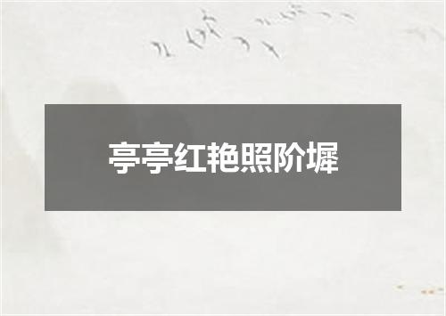 亭亭红艳照阶墀