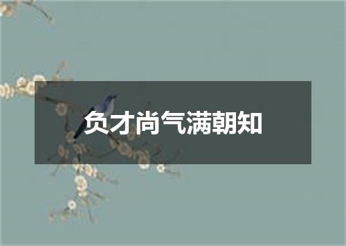 负才尚气满朝知
