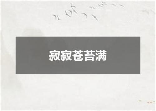寂寂苍苔满