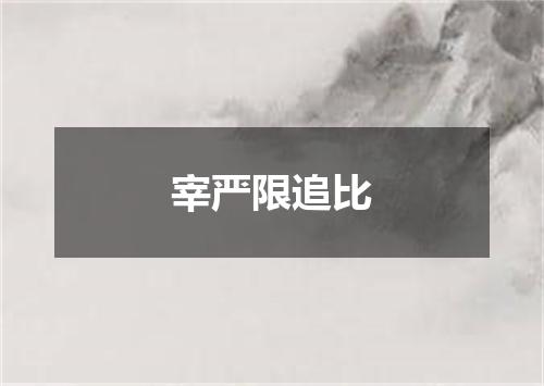 宰严限追比