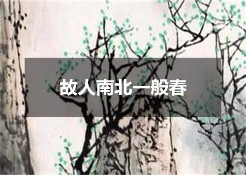 故人南北一般春