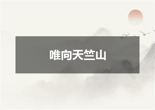 唯向天竺山