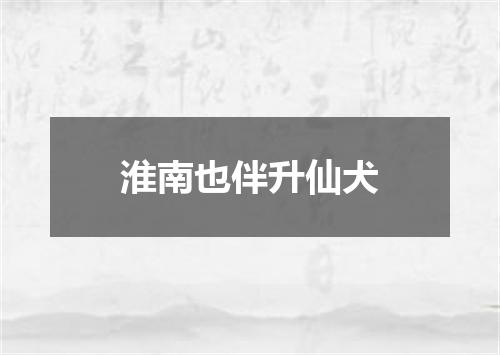 淮南也伴升仙犬