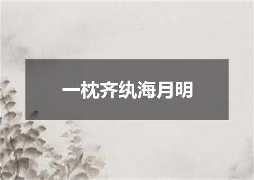 一枕齐纨海月明