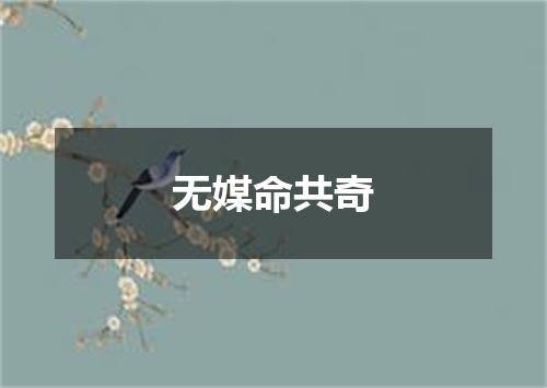 无媒命共奇