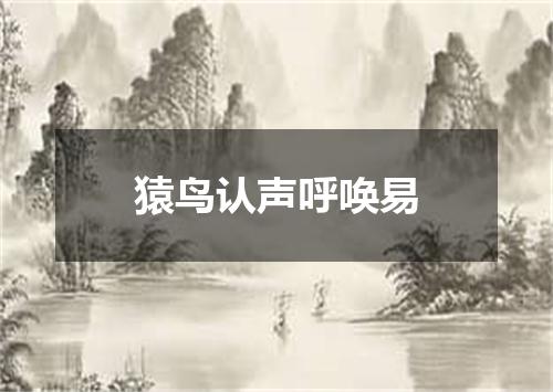 猿鸟认声呼唤易