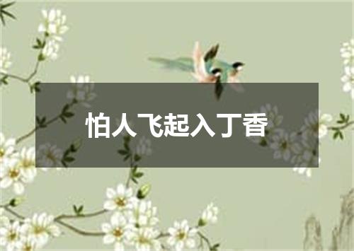 怕人飞起入丁香