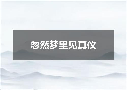 忽然梦里见真仪