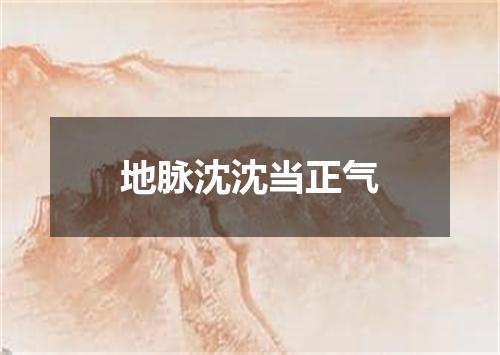 地脉沈沈当正气