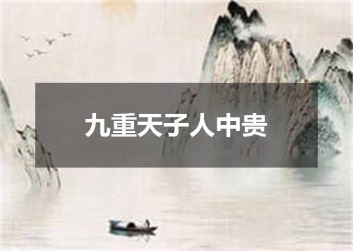九重天子人中贵