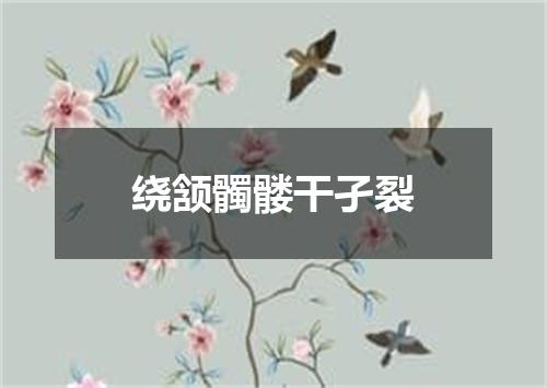 绕颔髑髅干孑裂