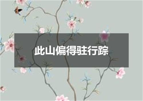 此山偏得驻行踪
