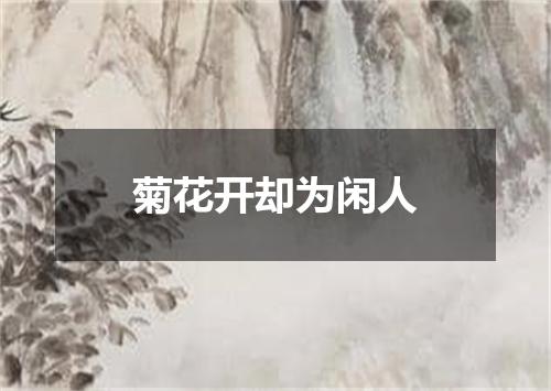 菊花开却为闲人