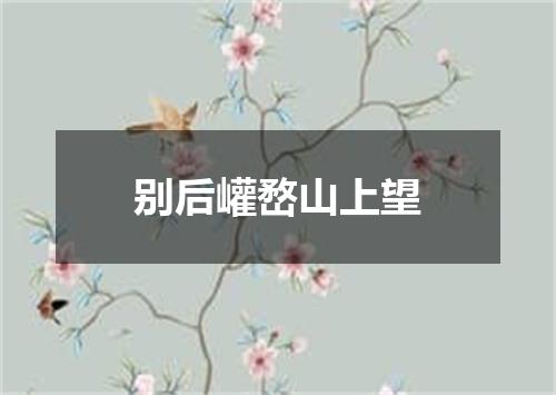 别后巏嵍山上望