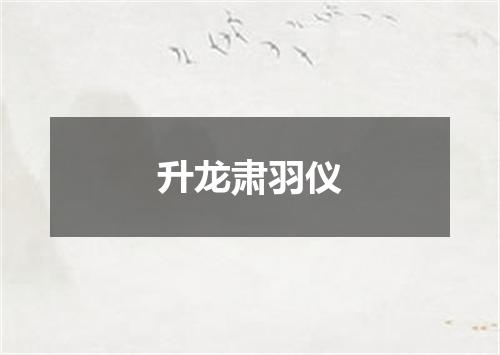 升龙肃羽仪