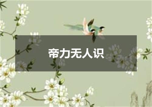 帝力无人识