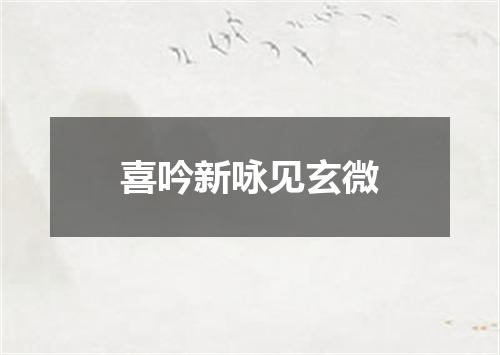 喜吟新咏见玄微
