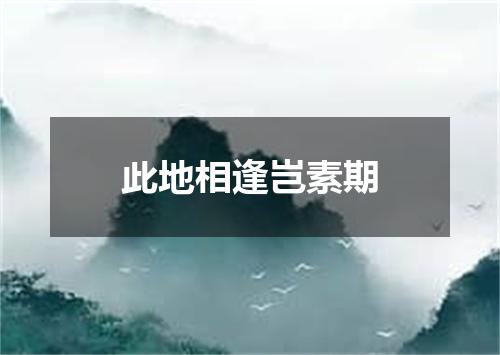 此地相逢岂素期