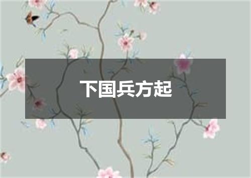 下国兵方起