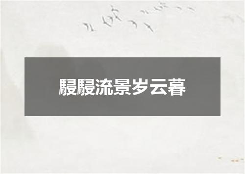 駸駸流景岁云暮