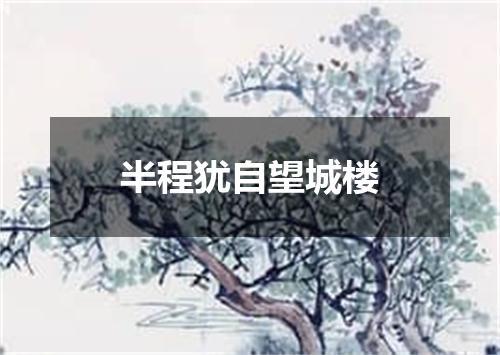 半程犹自望城楼