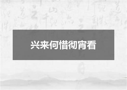 兴来何惜彻宵看
