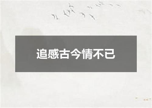 追感古今情不已