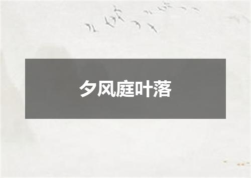 夕风庭叶落