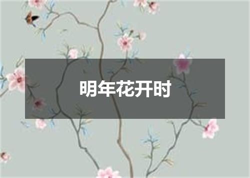 明年花开时