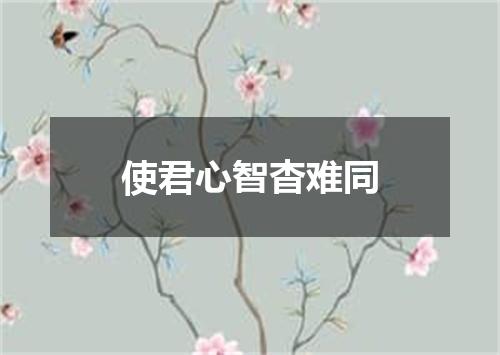 使君心智杳难同