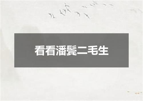 看看潘鬓二毛生