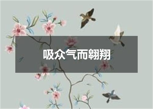 吸众气而翱翔