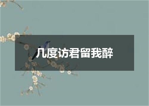 几度访君留我醉