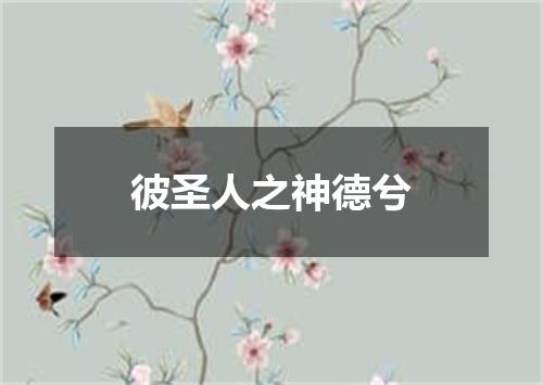 彼圣人之神德兮