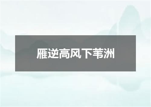 雁逆高风下苇洲