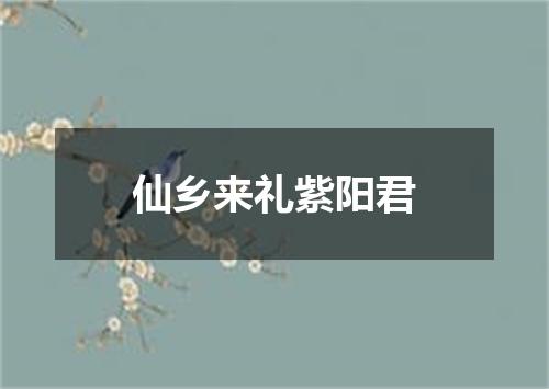 仙乡来礼紫阳君