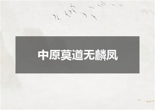 中原莫道无麟凤