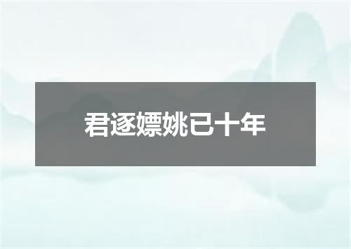 君逐嫖姚已十年