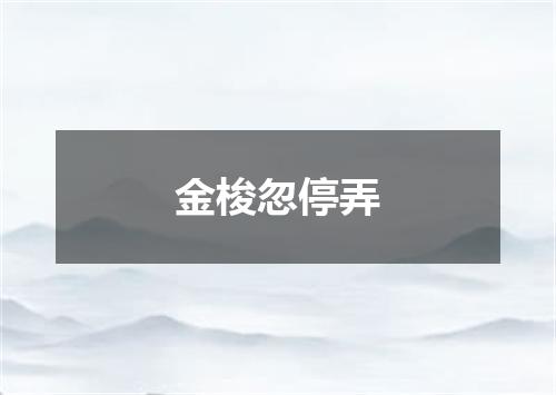 金梭忽停弄