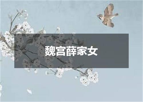 魏宫薛家女