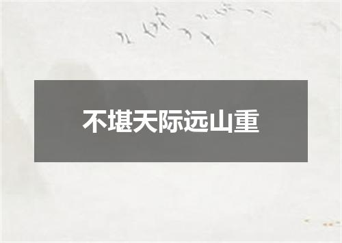 不堪天际远山重