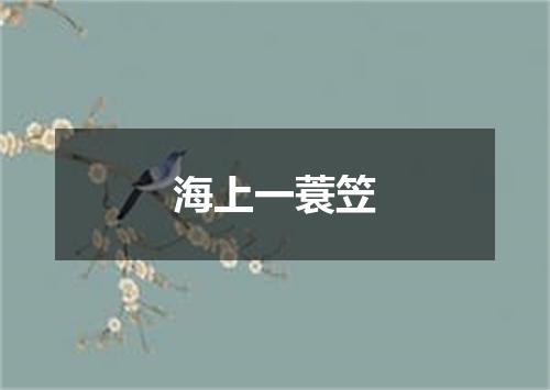 海上一蓑笠