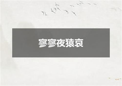 寥寥夜猿哀