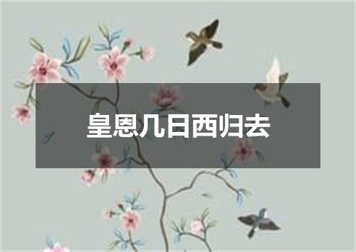 皇恩几日西归去