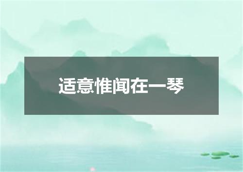 适意惟闻在一琴