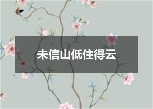 未信山低住得云