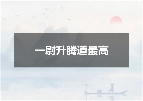 一尉升腾道最高