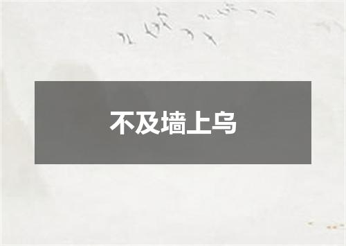 不及墙上乌