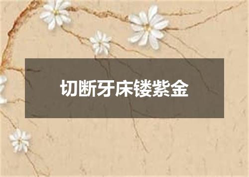 切断牙床镂紫金