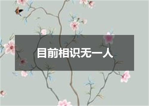 目前相识无一人